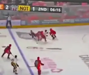 Jugador de hockey muere tras tener accidente con un pat&iacute;n (VIDEO)