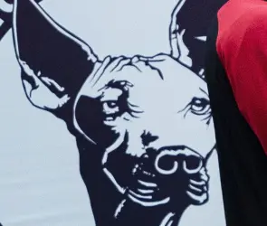 Hist&oacute;rico del futbol mexicano regresa con Xolos