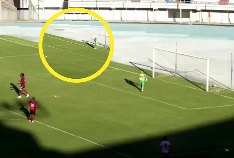 Gustavo Tesonotte se neg&oacute; a atajar un penal como protesta durante el partido de la Copa Sim&oacute;n Bol&iacute;var