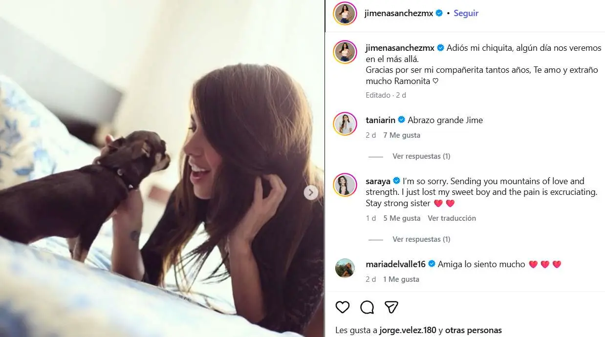 Jimena Sánchez compartió una emotiva despedida de su perrita Ramonita y recibió mensajes de apoyo de Tania Rincón, Paige y otras famosas. Jimena Sánchez compartió una emotiva despedida de su perrita Ramonita y recibió mensajes de apoyo de Tania Rincón, Paige y otras famosas.